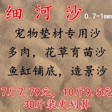 ��Ȼ��ɳ���Sɳ�Ӷ�������ɳ���~�׵�ɳ�Ӟ��������Sɳ��ˮ���쾰