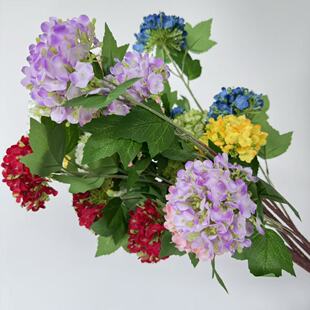 ���滨3�^ľ����ѩ�򻨻�c�Y�õ��Ų廨�bҾ�ܛ�b�zӰ����