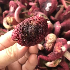 香菇;调味酱;其他干货