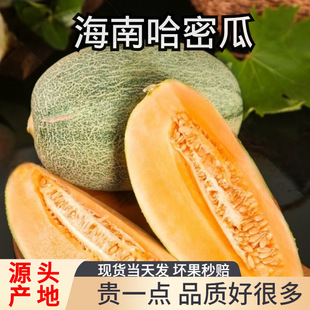 ���Ϲ��ܹ����rˮ���ｮ�����۹Ϯ����ϝh�ϾW�y�����