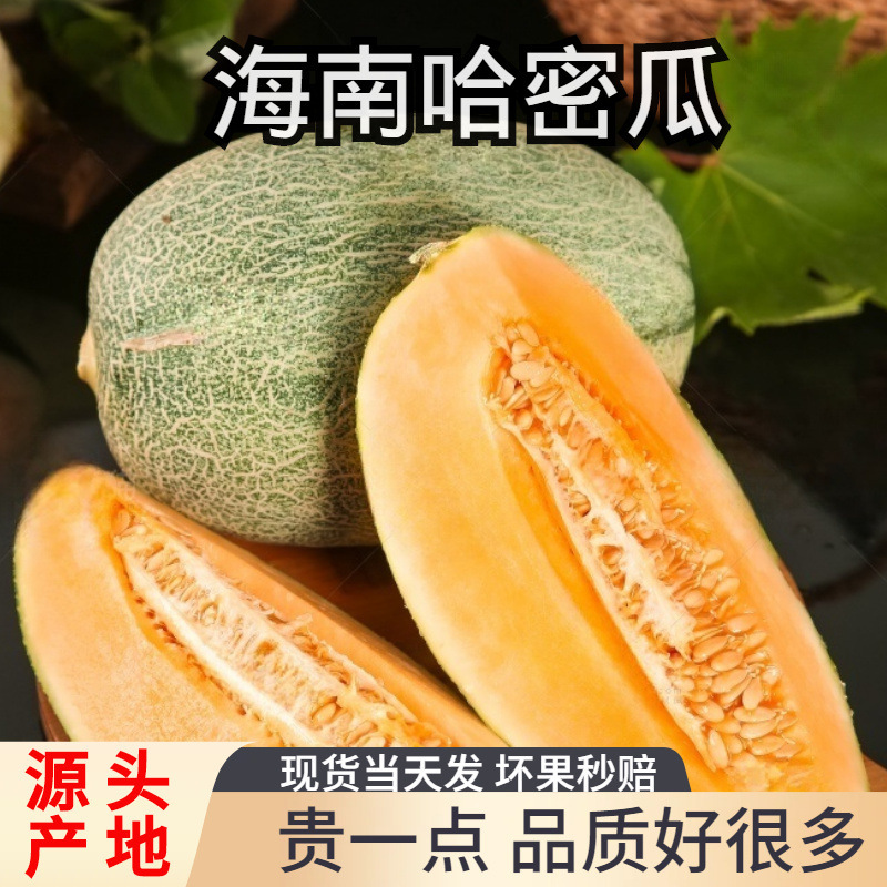 Hainan Cantaloupe Fresh Fruit, Xinjiang Xizhou Honeydew Melon, Seasonal Old Melon, Netted Melon Fragrance