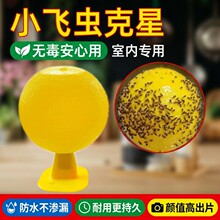 ��ω�T����С�w�x�皢�����҃�ȥ�����x���ǏN����xճ�x���T�nω