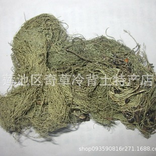 ���},���_,��z��,��F��,���l��ș�����}���Ҳ�����ș���Ԓ��ԃ