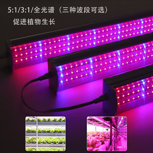 植物灯生长灯LED全光谱仿太阳室内家用花卉光照灯上色多肉补光灯-阿里巴巴