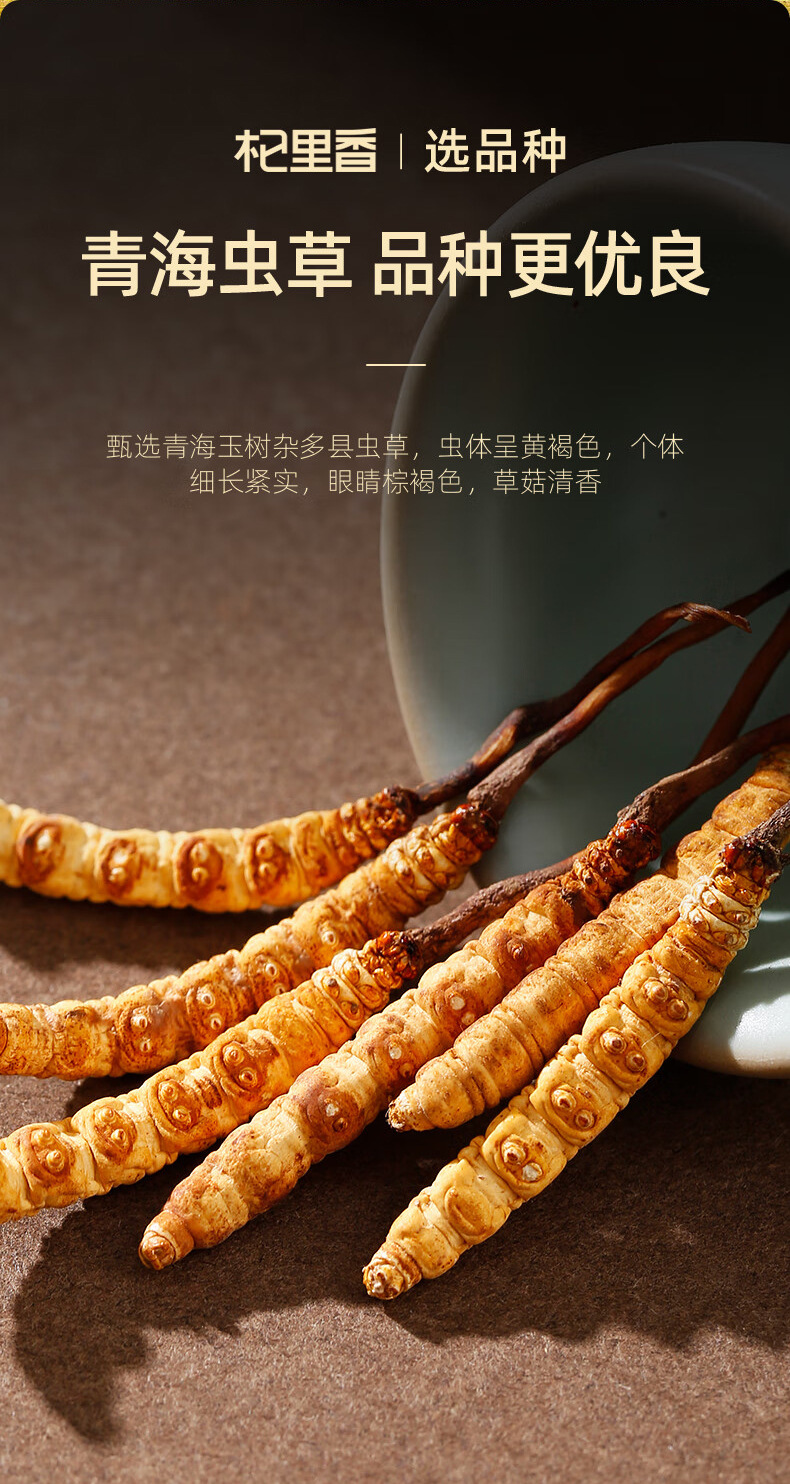 Premium Cordyceps Sinensis Dried Herb 1g Box 5 Stems Whole Fruiting Bodies for Traditional Soup and Decoction key features