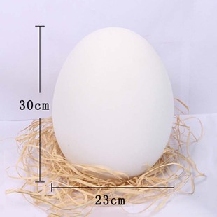30cm��ʵ��ͻ�Ɍ��b����u����ɫ�T�f���L��ɫģ�����ϒ��