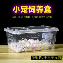 ͸��������˯����B�л\��̖���û\��ʳ��С�\�ӂ}����Ʒ