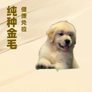 ���ƽ�ëѲ��Ȯ�����o�lȮ����Ȯ������w�����Ѿ�Ȯ����Ȯ��HȮ
