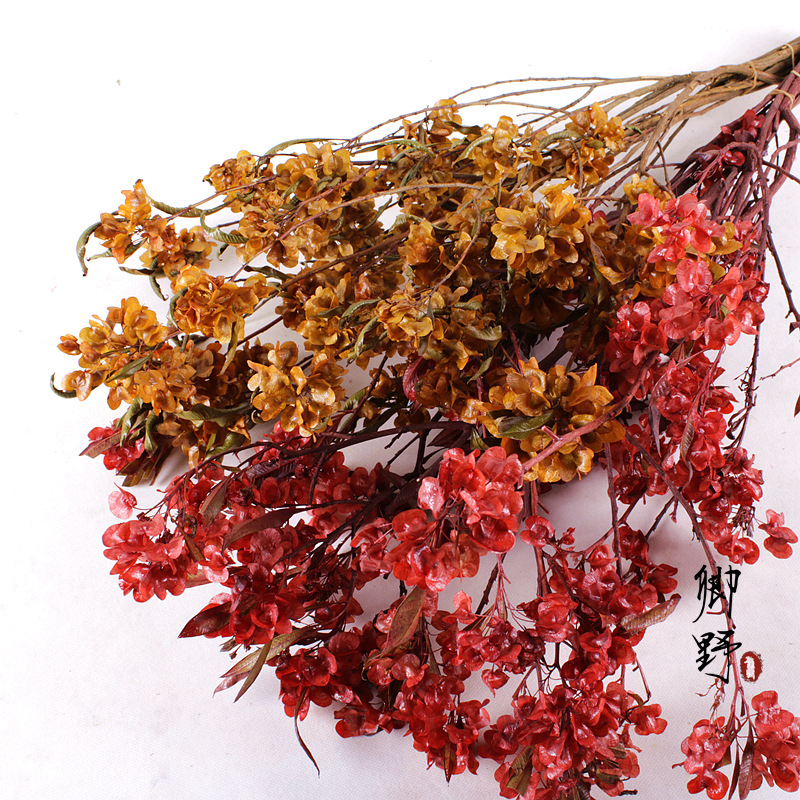永生花迎客豆永生花批发摆摊批发跨境蝴蝶花永生花批发厂家直供