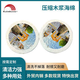 厂家供应爆款吸水多用途神奇厨房家具浴室清洁压缩木浆绵吸水吸油