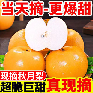 �¿��Sˮ�����r���������ЋD����ˮ����֭�Fժ��������r��ˮ��