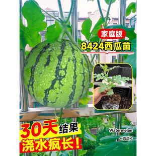 8424���������޽�������������ԷN���Ϸ��o������ˮ���߲�������