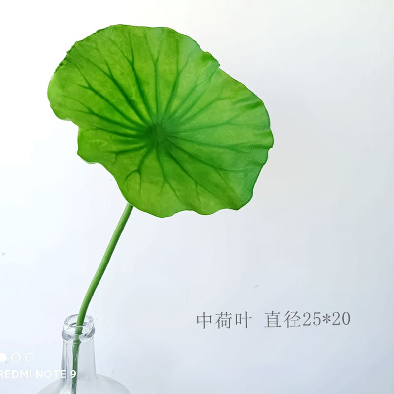 연잎 매체