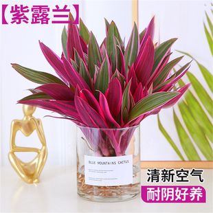 �ͮ���Y���mˮ��ֲ���k��������Gֲ��¶�m�����ļ����B�҃�����