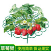 Strawberry, breathable support frame, tubing home use