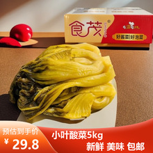 ʳïLζȫС~˴ˬ~n