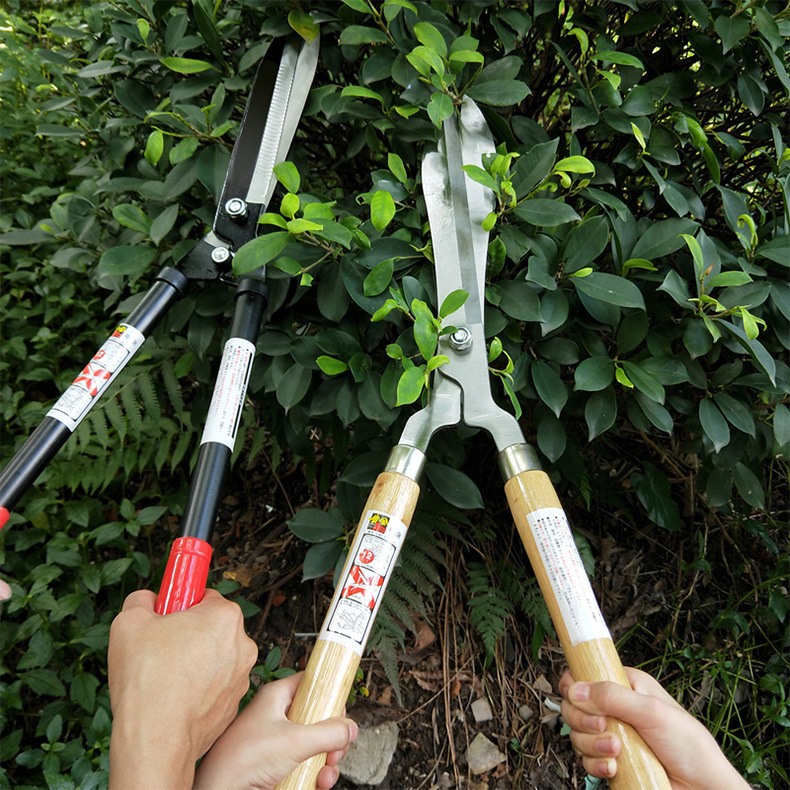 剪定ばさみ、果樹剪定ばさみ、強力剪定ばさみ、園芸用太枝剪定ばさみ、強力花枝剪定ばさみ、園芸用高枝剪定ばさみ|undefined