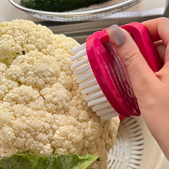 果物と野菜の清潔ブラシリンゴ型の硬いブラシ果物と野菜の洗浄ブラシ家庭用キッチンの海鮮ブラシ多機能ブラシ