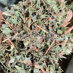 1000�����lɢ�b��Ʒ����ɳ�� ����ɳ�o�~��؛�ж�