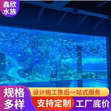 海洋馆鱼缸定 制海水景观生态观赏鱼缸大型亚克力异形水族馆鱼缸