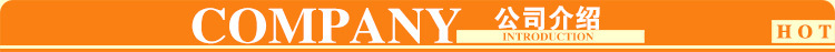 公司介绍
