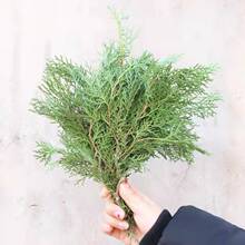 ȻGɫɰ֦ }Qh}Q ɻYаbb