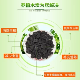 烧烤炭;木炭;活性炭