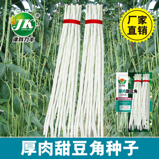 �S�����l�����𶹽ǷN�Ӵ���Ŵ���𶹽ǷN�Ѱחl�L�����������˷N