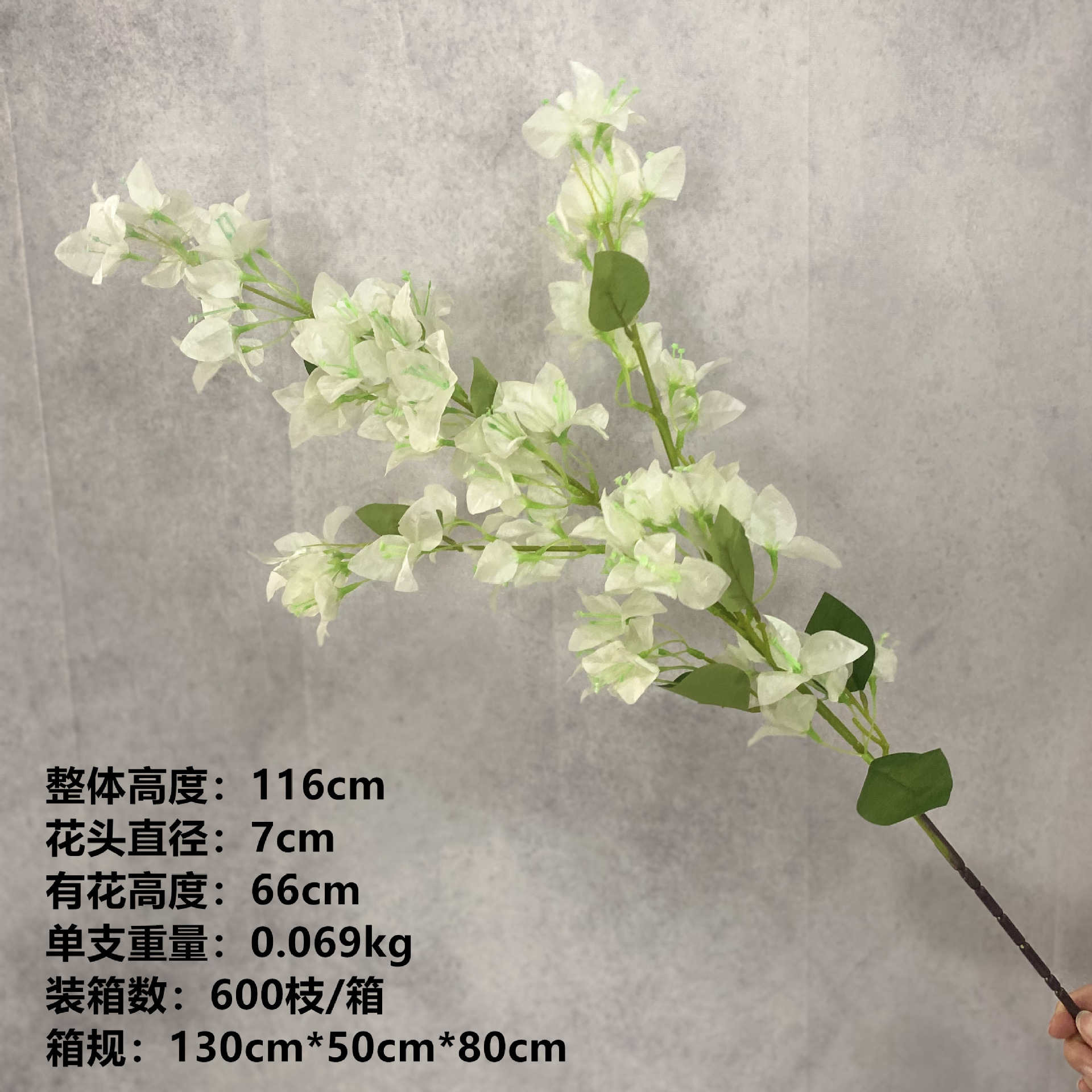 큰 흰색