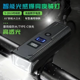 自行车灯;骑行灯;自行车装饰