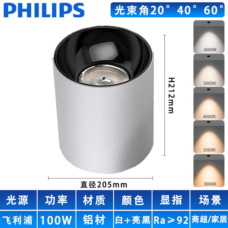 屋外ショップドアバルコニーテラスホテルキャノピー天井防曇 LED スポットライトカスタム 100 ワット防水ダウンライト|undefined