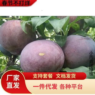 һ�����l�������Ә����F�����A���Ĵ�Ó������Ʒ�N�μt������