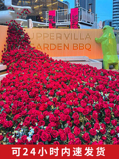 õ���ٲ����滨�ٻ������ٲ����W�t��õ�廨�b������̈�����