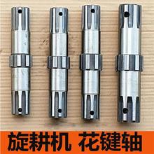 �B노ۺ��S�����C���I�S �� ���I�P�����A�|���t�����C���