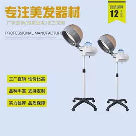 其他美容仪器;美容喷雾仪;焗油帽