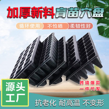 �S�����l ����PѨ�P��ľ��������߲��������P�������бP������