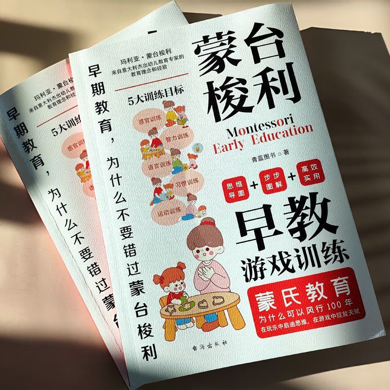 蒙台梭利早教游戏训练全书蒙氏教育0-2到3岁宝宝早教启蒙认知书籍 2