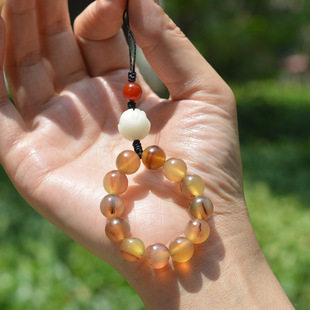 ����Ѫ�z���С���������ִ��@ָ����Ů���]����ɏ������ָ������