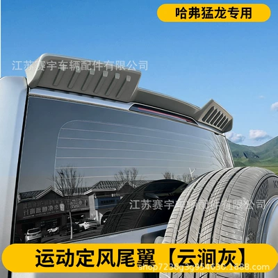 Fixed wind wing Wing Modification, Fixed Wind Wing, Top - sporty-cloud-grey