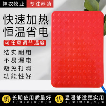 3宠物保温板小兔用加热板狗用电热板蛇猫加热兔子小型动物电热板