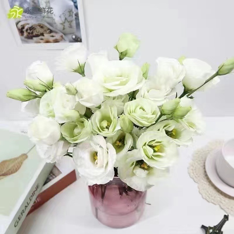 レアカラーのエリュケンバの花、新鮮なミックス、屋内水耕栽培、家庭用フラワーアレンジメント、オフィス、雲南基地直送|undefined