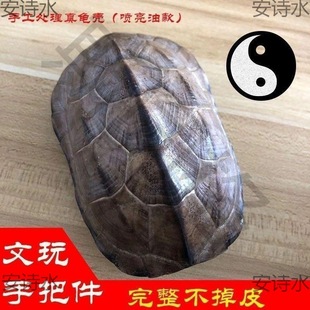 全龟甲天然真龟壳乌龟壳文玩把玩金钱小龟壳风水摆件摇卦工具抛光-阿里巴巴