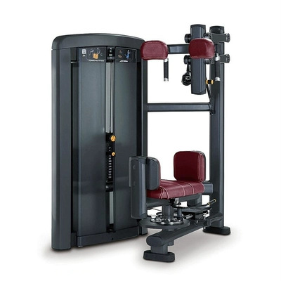 Lifefitnes emblema militar equipo de gimnasio de fuerza conjunto completo de equipo gimnasio especial de espalda pecho pierna entrenamiento hombro