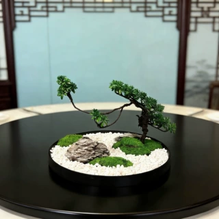 永生苔藓创意仿真景观摆件高档会所艺术造景大圆桌中间装饰假花