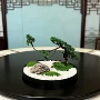 艺术会所中间仿真摆件