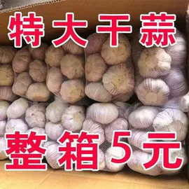 其他行业专用;炊事设备;休闲食品加工