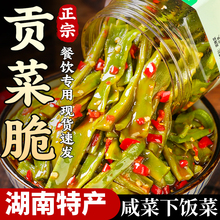 剁椒贡菜下饭菜脆嫩湖南产咸菜酱菜榨菜香辣凉拌开胃瓶装即食