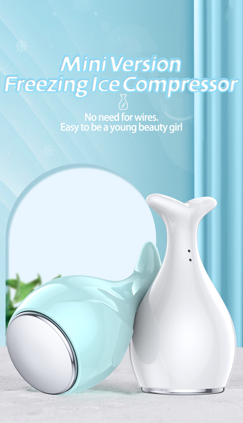 Cooling Facial Massager 1