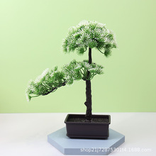 �����ɘ����ԼҾ�չ�d�Ƶ�[���bپGֲӭ�����辰�҃������b�