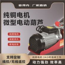 微型电动葫芦220V小型提升机家用小吊机多功能微电葫芦